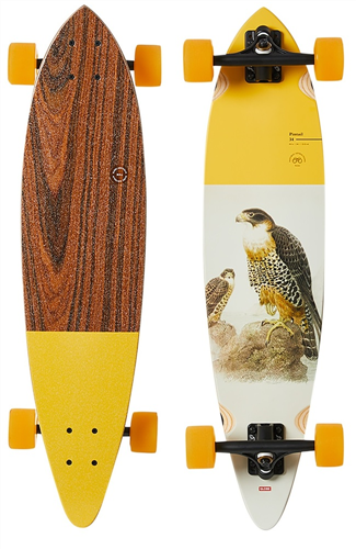 Globe Pintail 34 Skate Cruiser, Falcon