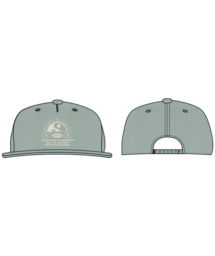 RVCA PREACHER SNAPBACK CAP, GRANITE GREEN