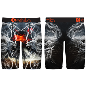 Ethika Boys Lion Strike Staple Underwear