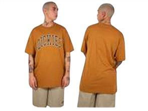 Dickies WOODWARD CLASSIC FIT S/S TEE, BROWN DUCK