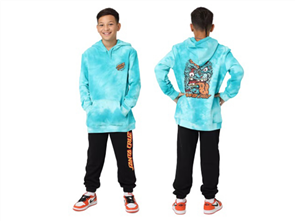 Santa Cruz ROSKOPP FACE TWO YOUTH PULL OVER HOODY, TURQUOISE