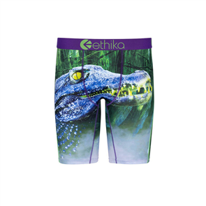 Ethika Boys Later Gator Staple Underwear