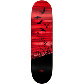 Real Set Free Spectrum, Red, Size 8.06"
