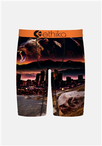 Ethika Boys Always Primal Staple