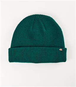 Dickies SEATTLE BEANIE BASIC CUFF BEANIE, GREEN