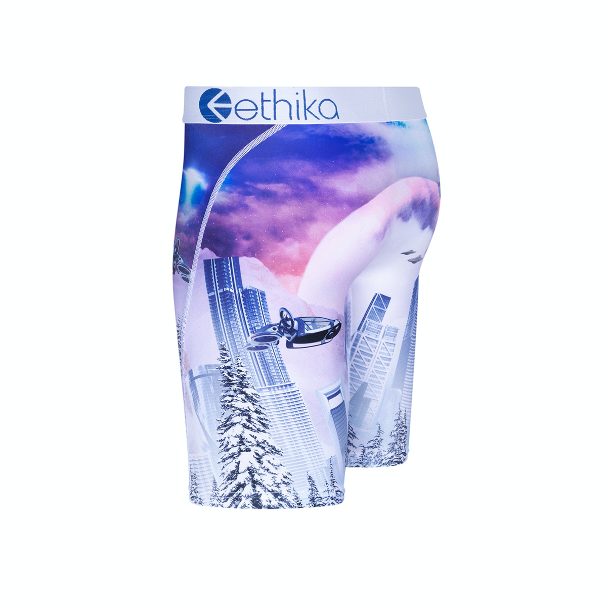 Ethika Boys Future Freeze Staple Underwear Underground Skate